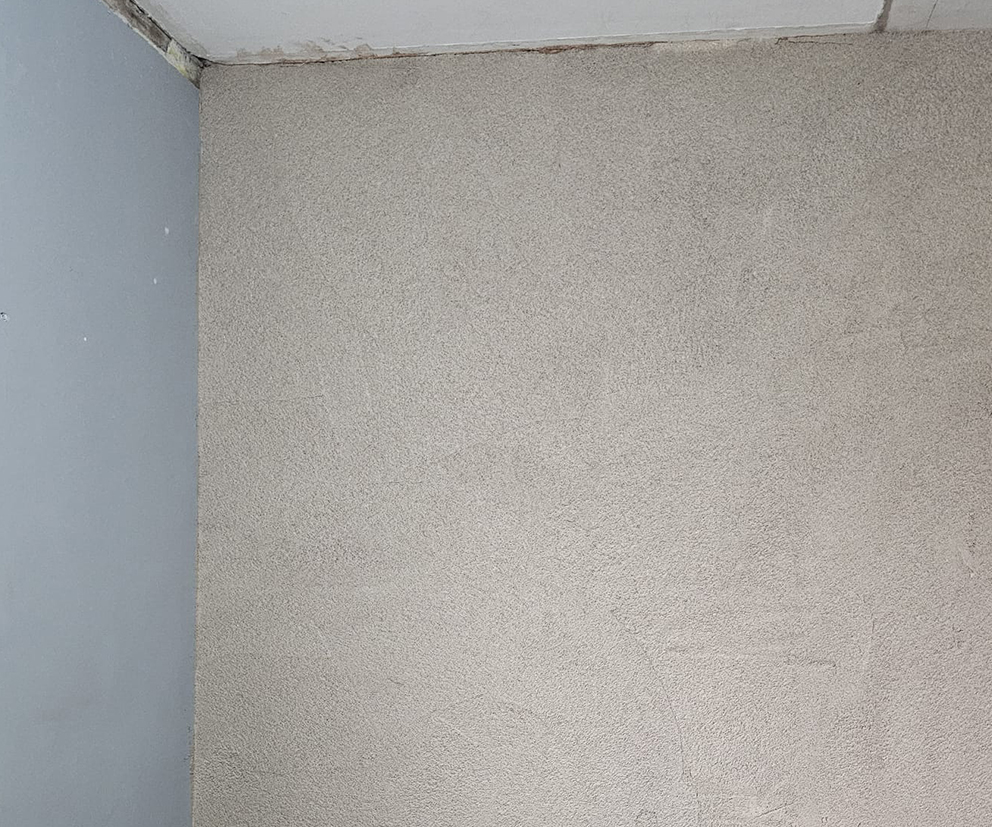 what is cork plaster