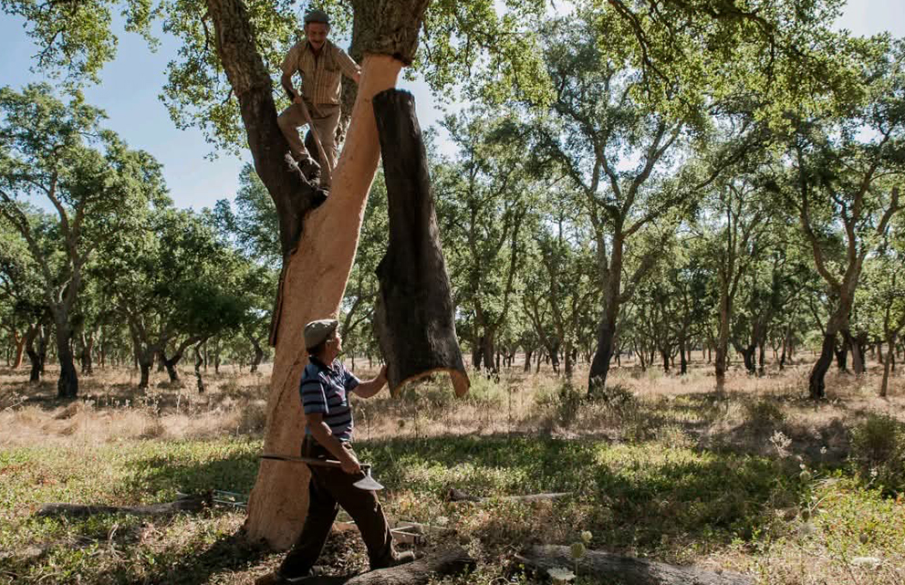 natural cork coatings